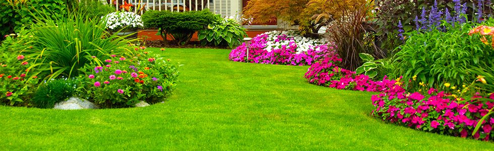Go Green Professional Landscaping | Rock Hill, SC | landscaped yard